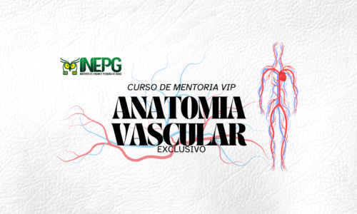 Curso Intensivo: Anatomia Vascular Aplicada