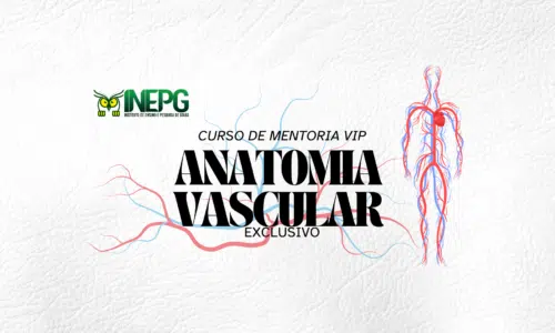 Curso Intensivo: Anatomia Vascular Aplicada