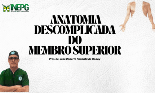 Curso de Anatomia do Membro Superior – Teórico-Prático