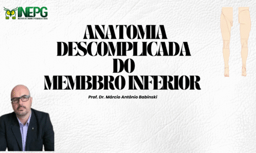 Curso de Anatomia do Membro Inferior – Teórico e Prático